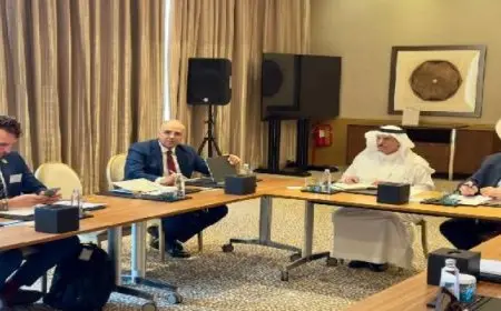 وزير الرى يناقش سياسات المنتديات العالمية للمياه وتطبيقها