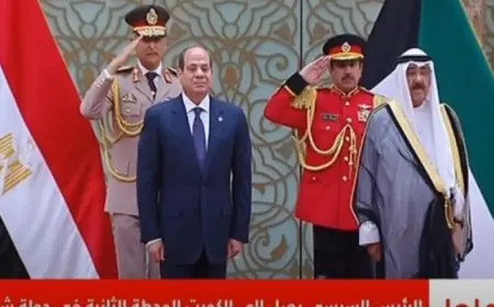 الرئيس السيسى يصل إلى الكويت ثانى محطات جولته الخليجية