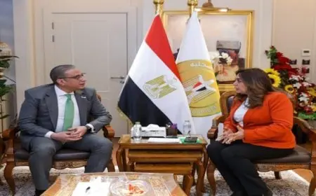 وزيرة التنمية المحلية تتابع مع محافظ الفيوم جهود تحسين الخدمات للمواطنين وتنفيذ المشروعات التنموية