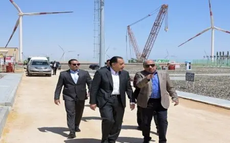 رئيس الوزراء يتفقد مزرعة توليد الكهرباء بقدرة 650 ميجاوات فى مستهل جولته برأس غارب
