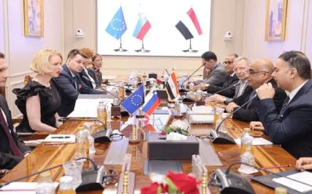 وزير العدل: الدولة المصرية أسست منظومة متكاملة لتعزيز حقوق الإنسان