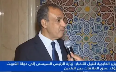 وزير الخارجية للنيل للأخبار: هناك تطابق في الرؤى “المصرية القطرية الكويتية” فيما يتعلق بالقضية الفلسطينية