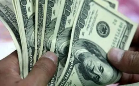 العملات العالمية ترتفع مقابل الدولار وسط ترقب لاتفاقات تجارية جديدة مع واشنطن