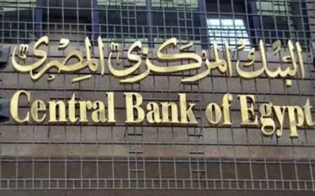 20 مليار دولار حصيلة تحويلات المصريين بالخارج خلال الشهور السبعة الأولى من السنة المالية 2024/2025