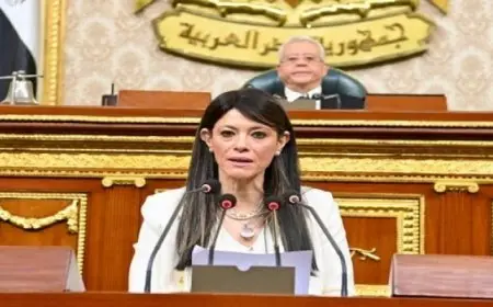 وزيرة التخطيط: 17.5 مليار جنيه استثمارات عامة موجهة للزراعة والري بخطة عام (2025 – 2026)