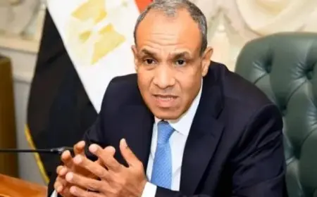 وزير الخارجية والهجرة يتابع سير خدمة التصديق البريدى