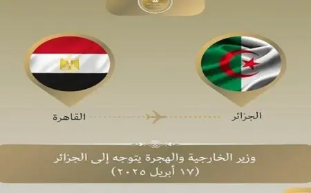 وزير الخارجية يتوجه إلى الجزائر فى زيارة ثنائية