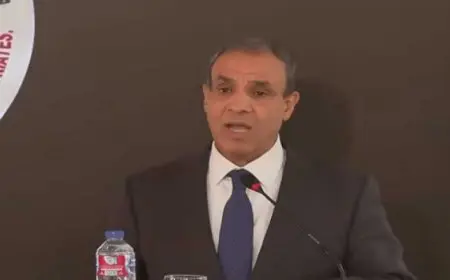 بدر عبد العاطى : الوضع فى غزة شديدة الخطورة .. وجهودنا متواصلة للتوصل لاتفاق