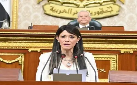 المشاط: 327 مليار جنيه استثمارات موجهة للصحة والتعليم والبحث العلمى وخدمات أخرى بالموازنة الجديدة