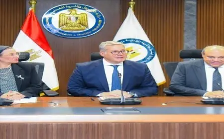 وزراء البترول والبيئة والطيران يبحثون التعاون فى إنتاج وقود الطائرات المستدام