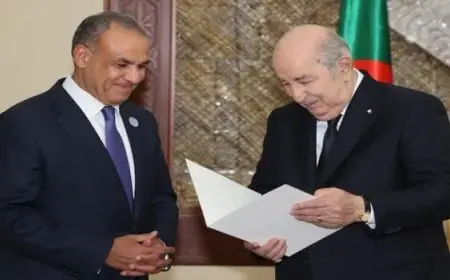 وزير الخارجية يسلم رسالة خطية من الرئيس السيسى إلى نظيره الجزائرى