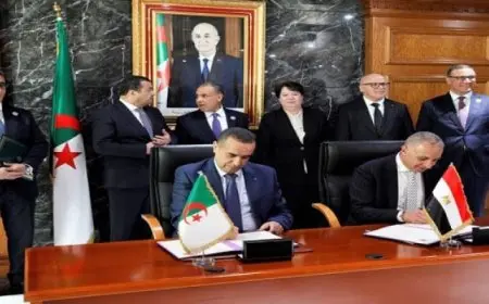 عبد العاطى يشهد التوقيع على مذكرة التفاهم بين “سونلغاز الجزائرية” و”السويدى” بمجال دعم مشروعات التنمية الكهربائية بالجزائر