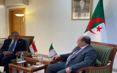 وزير الخارجية يبحث مع وزير الصناعة والإنتاج الصيدلانى الجزائرى العلاقات الثنائية