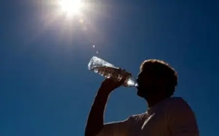 الأرصاد : طقس السبت شديد الحرارة على أغلب الأنحاء