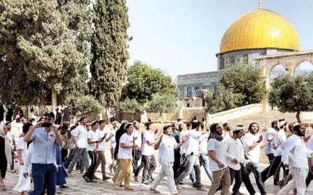 عشرات المستوطنين يقتحمون باحات المسجد الأقصى بحماية شرطة الاحتلال