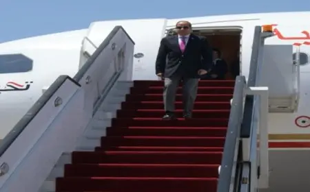 الرئيس السيسى يعود إلى أرض الوطن بعد زيارته لجمهورية جيبوتى الشقيقة