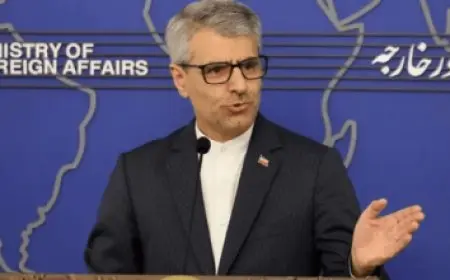 جثمان البابا فرنسيس يصل إلى كاتدرائية القديس بطرس