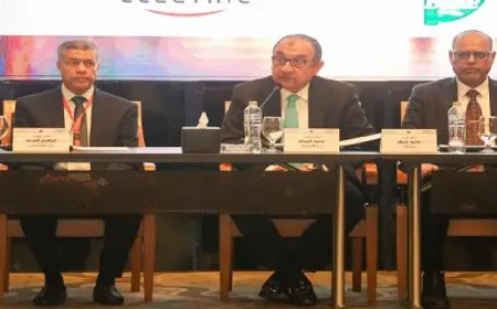 وزير قطاع الأعمال العام يترأس الاجتماع المشترك لمجلس التعاون المصرى الكويتى