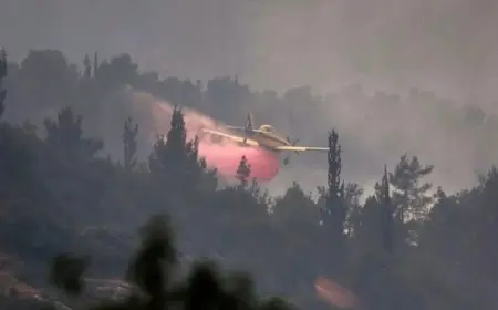 حرائق الغابات تتمدد قرب القدس.. ونتنياهو يطلب الدعم