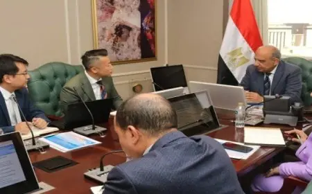 وزير الكهرباء يبحث مع شركة “ستيت جريد” الصينية الشراكة فى الطاقة المتجددة وتحديث الشبكات