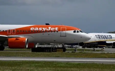 رحلة جوية تهبط اضطراريا بسبب راكب يتوهم بوجود ثعابين