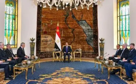 السيسى يلتقى وزير الخارجية الإيطالى ويؤكد اعتزازه بالعلاقات الوثيقة بين البلدين