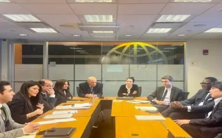 “المشاط”: نولى اهتمامًا بتوسيع الشراكات مع مؤسسات التمويل الدولية فى مجال الضمانات التنموية