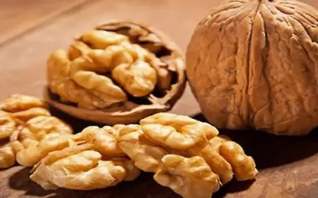 دراسة: حفنة من الجوز يوميا تحمى من سرطان القولون