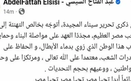 الرئيس السيسى يهنئ الشعب المصرى بمناسبة ذكرى تحرير سيناء