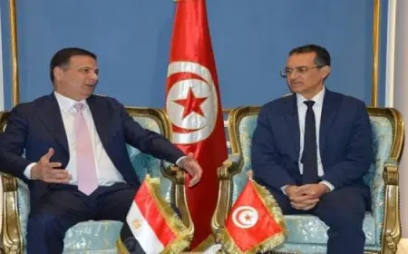 وزير الزراعة يبحث مع نظيره التونسى تعزيز التعاون لتحسين الإنتاج الزراعى والحيوانى