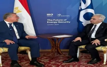 وزير البترول يبحث مع مدير وكالة الطاقة الدولية تعزيز التعاون