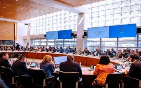 وزيرة التخطيط: معدلات التشغيل وتنمية مهارات الشباب أحد أكبر التحديات التي تواجه إفريقيا