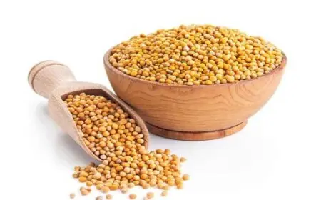 فوائد لإضافة بذور الخردل إلى نظامك الغذائى