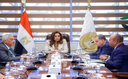 وزيرة التنمية المحلية تتابع سير العمل فى منظومتى التصالح على مخالفات البناء وتراخيص المحال العامة