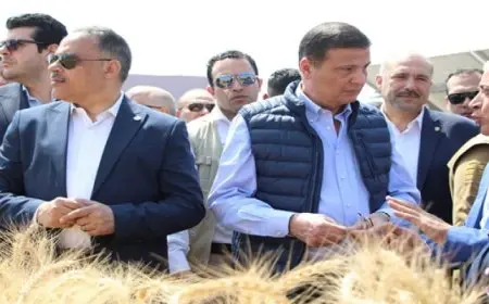 وزير الزراعة يوجه بخفض تكاليف معدات الحصاد لمزارعى القمح