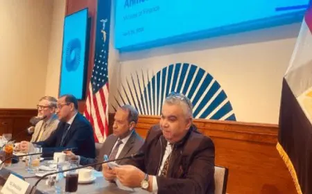 وزير المالية: المؤشرات الاقتصادية لمصر شهدت تحسنًا كبيرًا