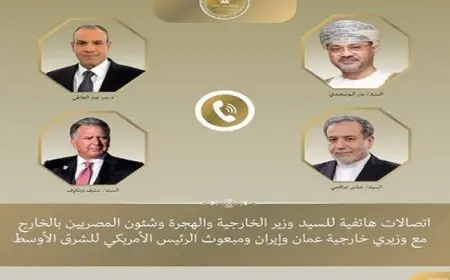وزير الخارجية يبحث هاتفيا مع نظيريه العُمانى والإيرانى وويتكوف تطورات الأوضاع الإقليمية