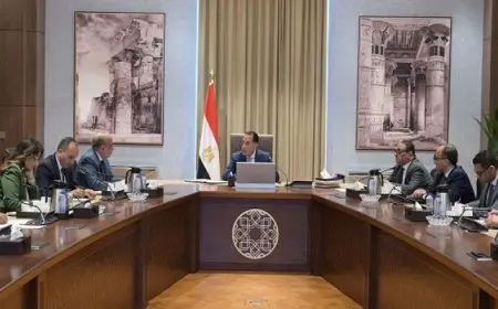 مدبولى: توجيهات رئاسية بإيجاد حلول حاسمة لوقف تخفيف أحمال الكهرباء خلال الصيف