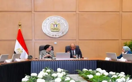 وزيرا الكهرباء والبيئة يبحثان سبل العمل المشترك والتنسيق والتعاون فى قضايا البيئة والطاقات المتجددة