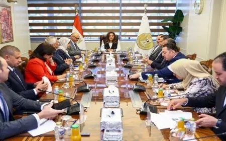 وزيرة التنمية المحلية: الوزارة تسعى لاستغلال المزايا التنافسية والفرص الاستثمارية لجميع المحافظات