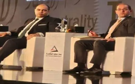 وزير المالية: تعزيز مناخ المنافسة يحقق التوازن فى الاقتصاد المصرى