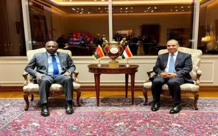 وزير الخارجية يبحث مع نظيره الأنجولى تعزيز العلاقات ودعم العمل الإفريقى