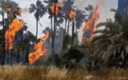 حرائق كبيرة وسط إسرائيل والسلطات تحاول إجلاء المئات