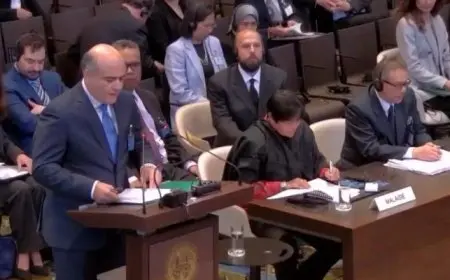 مصر أمام العدل الدولية: إسرائيل تعرقل حق العودة للشعب الفلسطينى وتنتهك المواثيق والمعاهدات الدولية