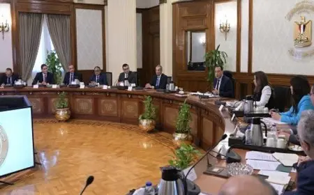 مدبولى يوجّه بإنشاء منصة رقمية تستهدف حوكمة إجراءات تراخيص متطلبات “الحماية المدنية”