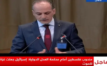 مندوب فلسطين أمام العدل الدولية: إسرائيل تمارس الإبادة الجماعية ضد الشعب الفلسطينى