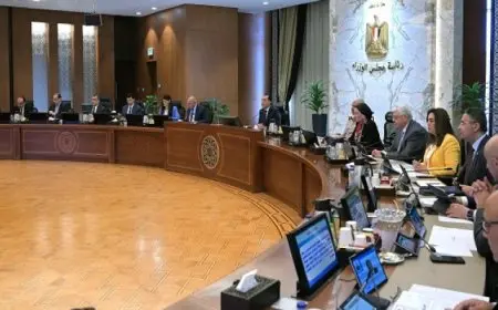 خلال اجتماع الحكومة.. مدبولى يُشيد بالجهود المبذولة لإنشاء وتشغيل مشروعات جهاز مستقبل مصر للتنمية المستدامة
