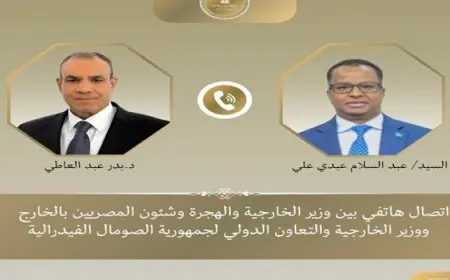 وزير الخارجية يؤكد التزام مصر الكامل بدعم وحدة وسلامة الأراضى الصومالية ومؤسساتها الوطنية