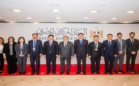 محافظ المركزى المصرى يبحث مع وفد صينى سبل توسيع مجالات التعاون المشترك