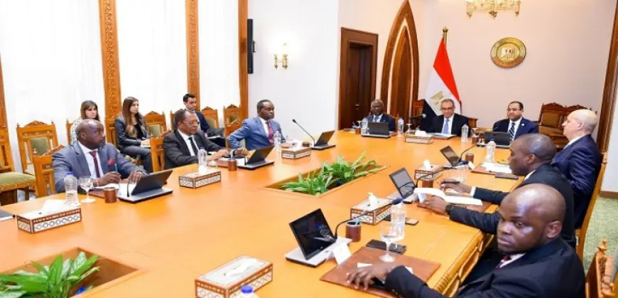وزير الخارجية: عضوية مصر فى الرابطة الإفريقية تعكس اهتمامها بتطبيق أفضل الممارسات فى إفريقيا